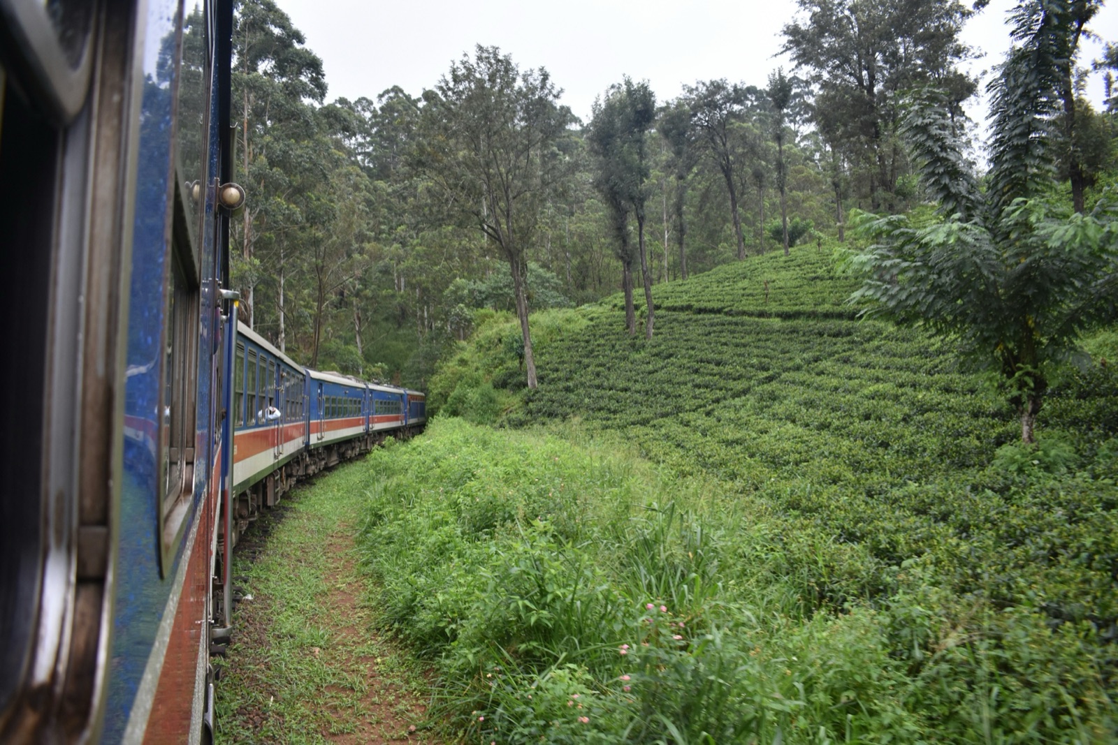 Locked.in international retreat experience in Sri Lanka